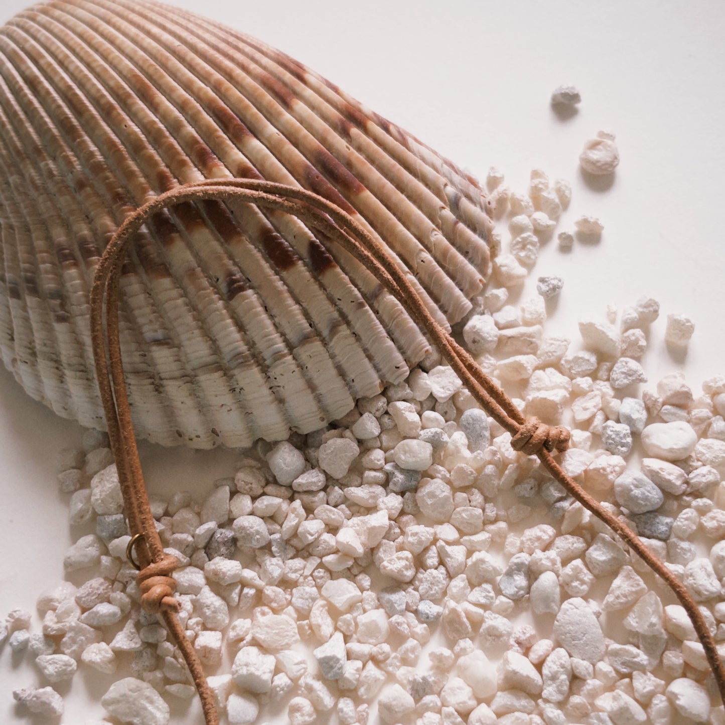 Crab Pendent Necklace